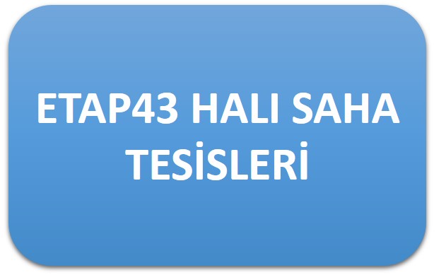 Etap43 Halı Saha